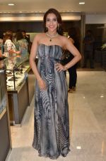 Rashmi Nigam at Mahesh Notandas store for festive collection launch on 23rd Oct 2015